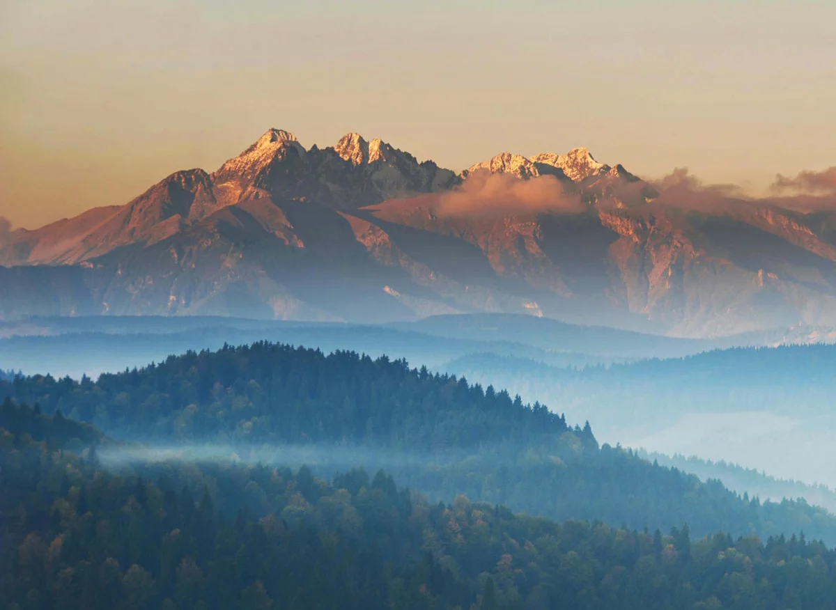 Nowości w 2023 jak  rozwinąć biznes