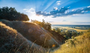 Czy opublikować artykuły sponsorowane to obowiązek?