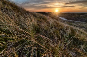 Ciekawe kto może zamówić pokazy tańca Warszawa?