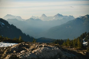  Modern ways to rent a car for a wedding in all conditions 